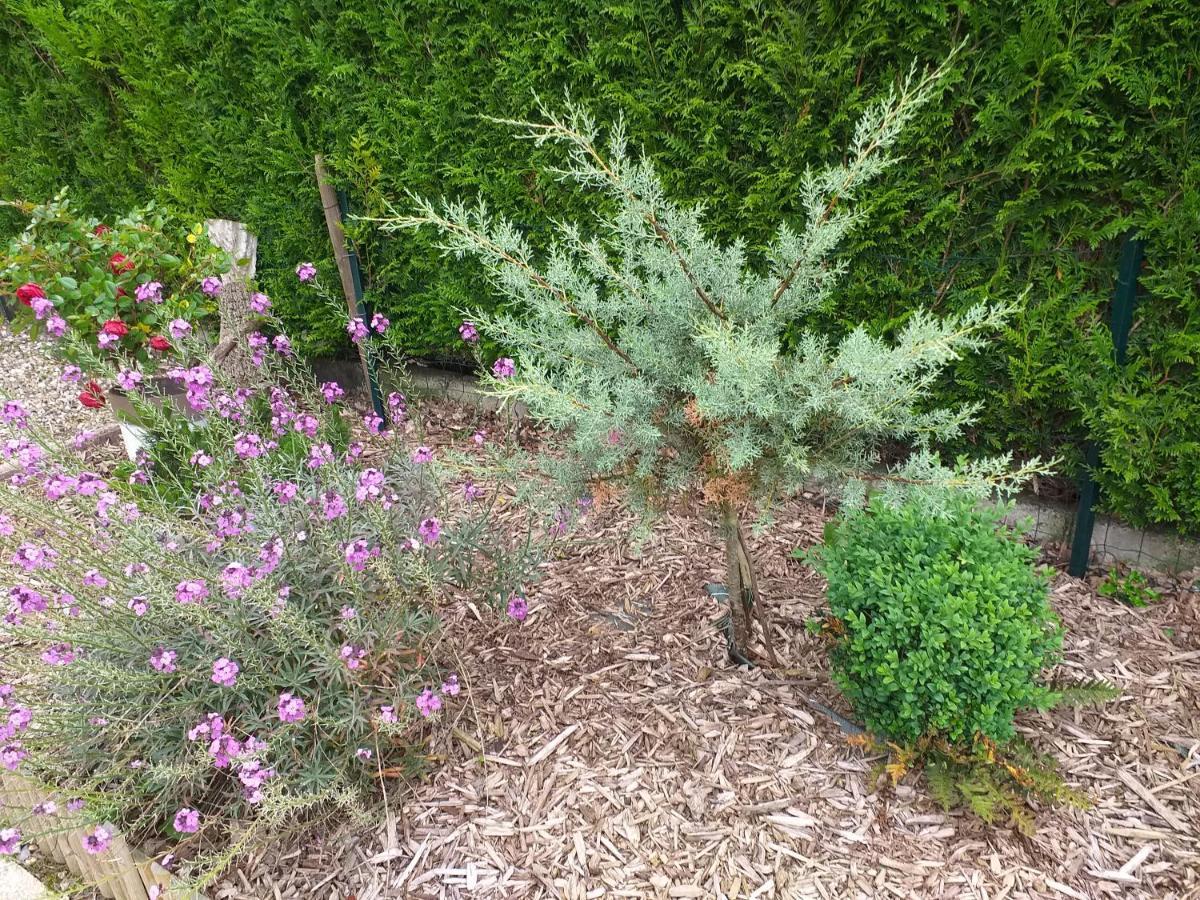 Gite L Oree De La Foret Incheville المظهر الخارجي الصورة