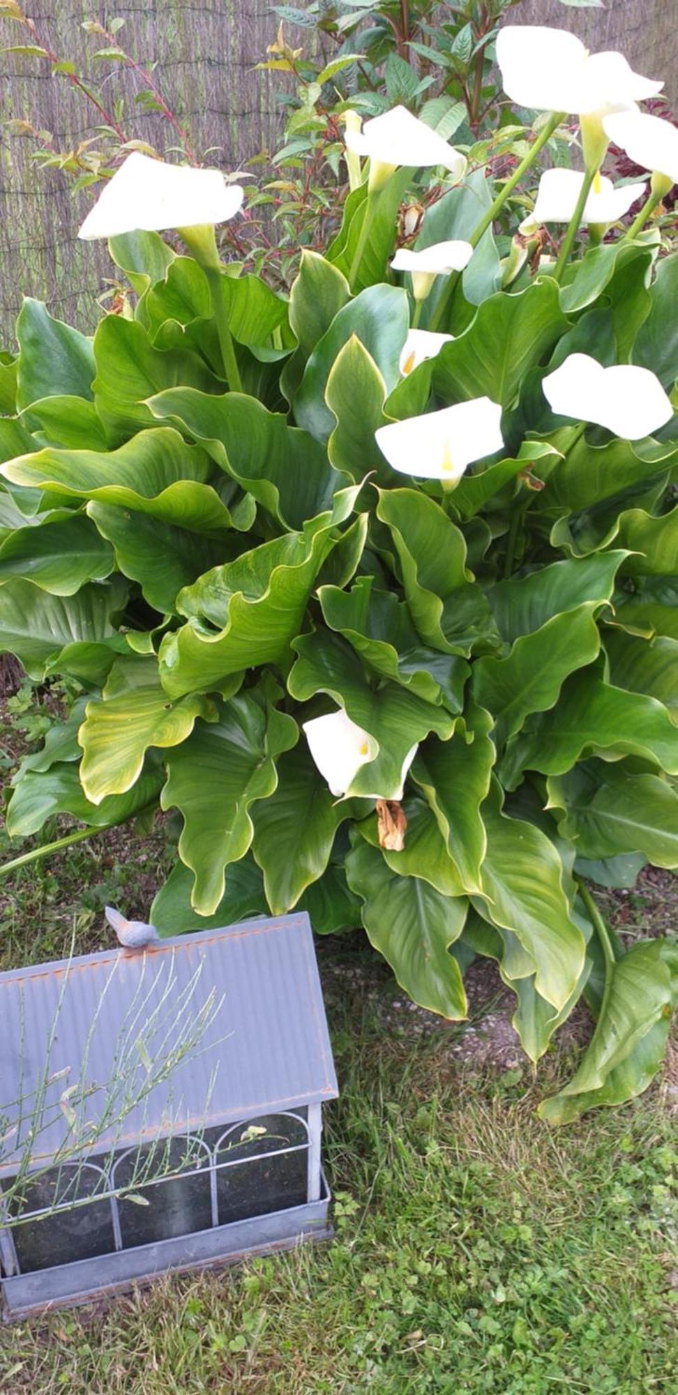 Gite L Oree De La Foret Incheville المظهر الخارجي الصورة